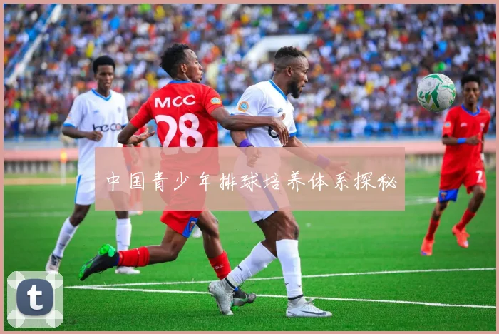 中国青少年排球培养体系探秘